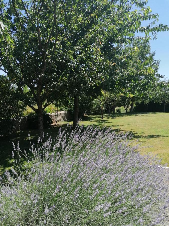 Domaine Des Deux Rivieres Bed & Breakfast Meilhan-sur-Garonne Eksteriør bilde