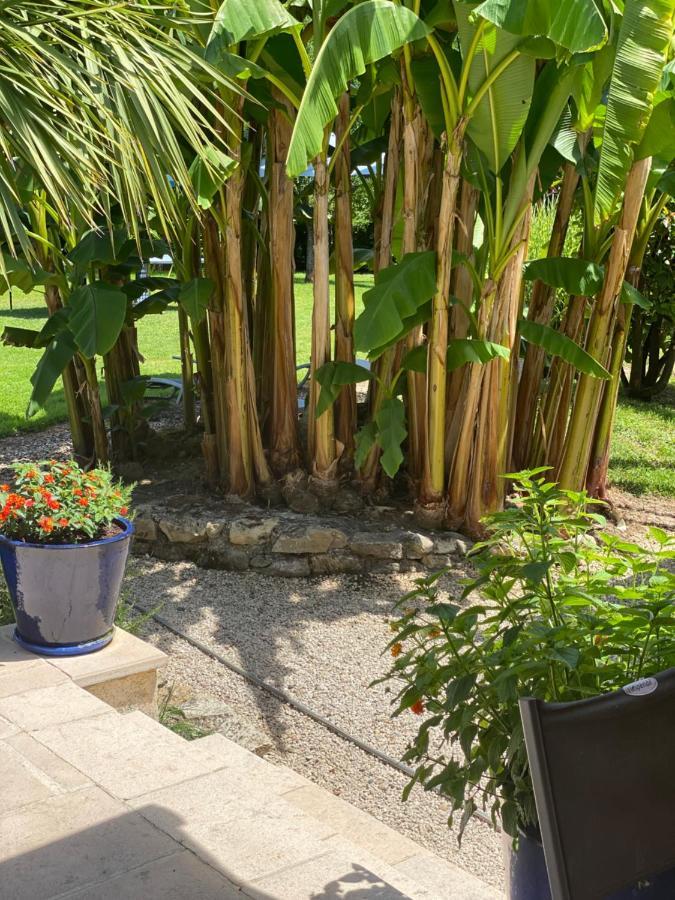 Domaine Des Deux Rivieres Bed & Breakfast Meilhan-sur-Garonne Eksteriør bilde